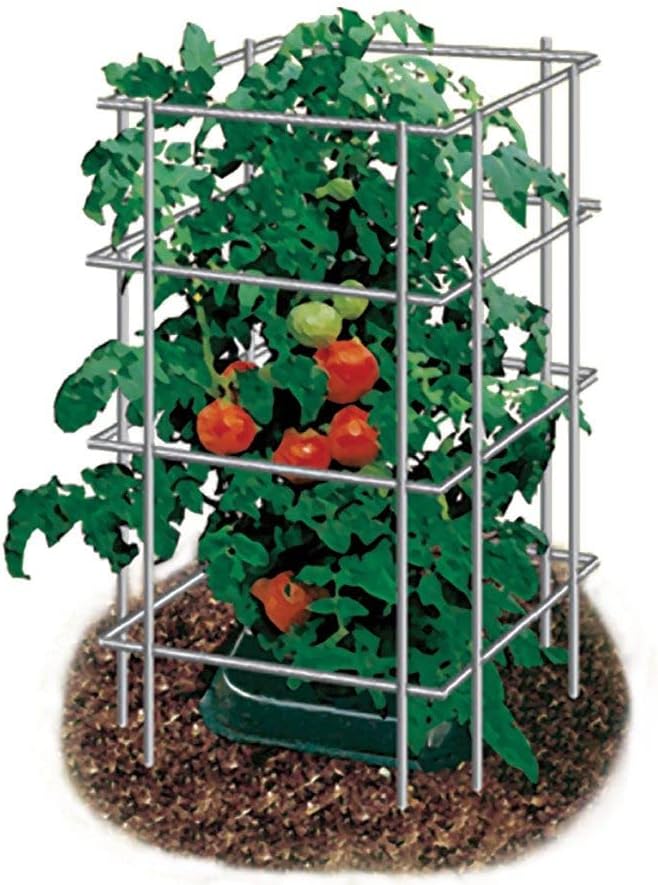 Tomato Cage