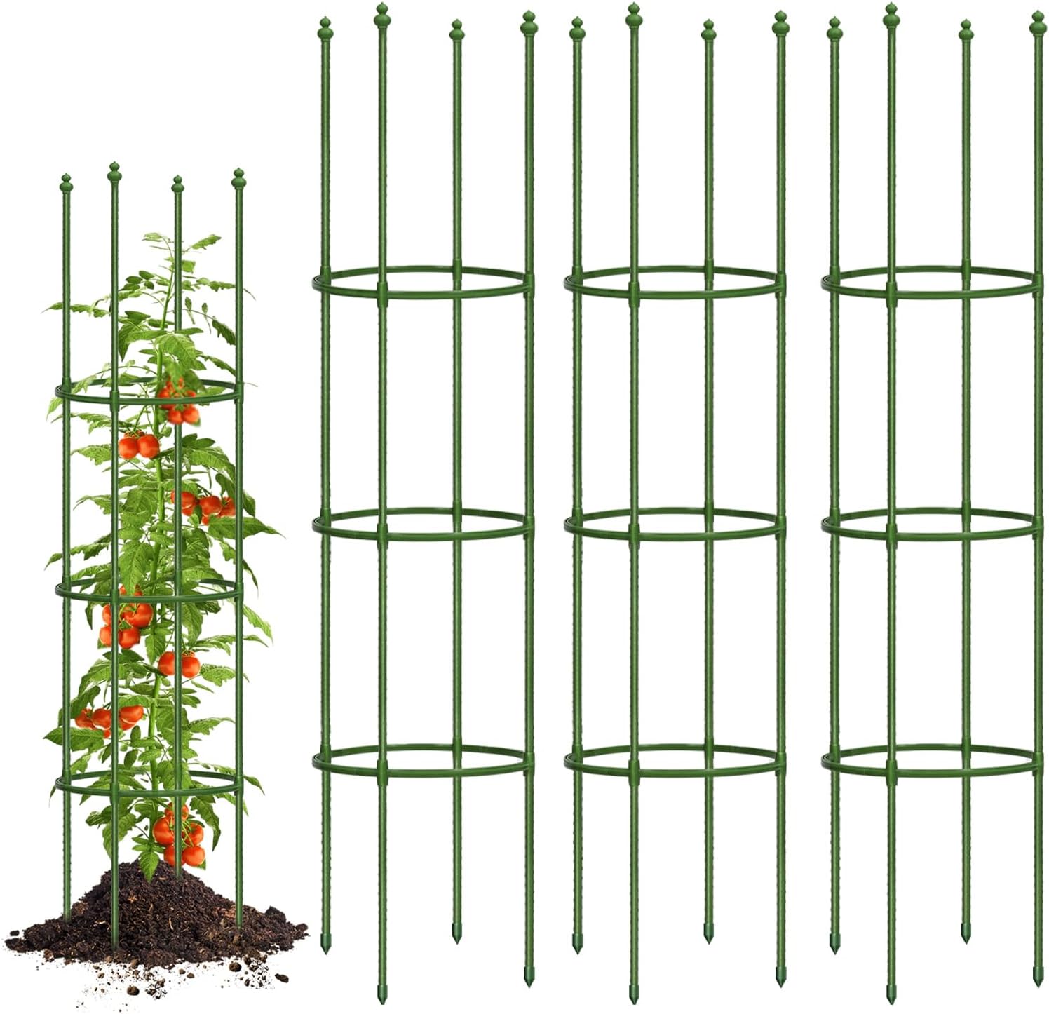 Tomato Cage